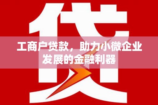 华龙工商户贷款，助力小微企业发展的金融利器