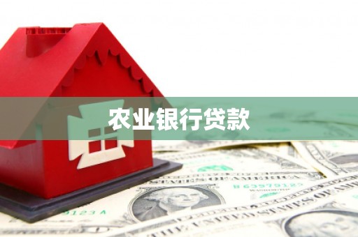 华龙农业银行贷款