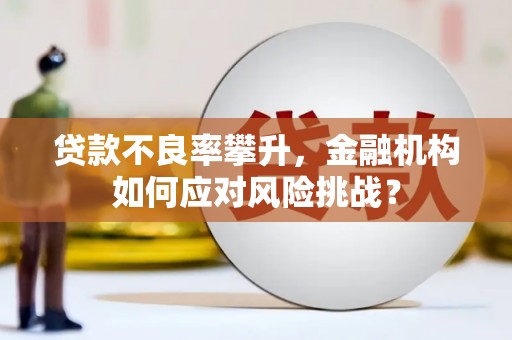 华龙贷款不良率攀升，金融机构如何应对风险挑战？