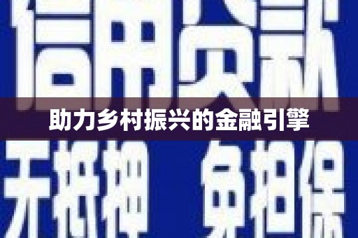 华龙助力乡村振兴的金融引擎