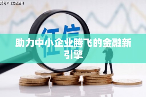 华龙助力中小企业腾飞的金融新引擎