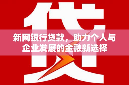 华龙新网银行贷款，助力个人与企业发展的金融新选择