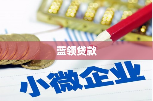 华龙蓝领贷款