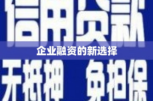 华龙企业融资的新选择