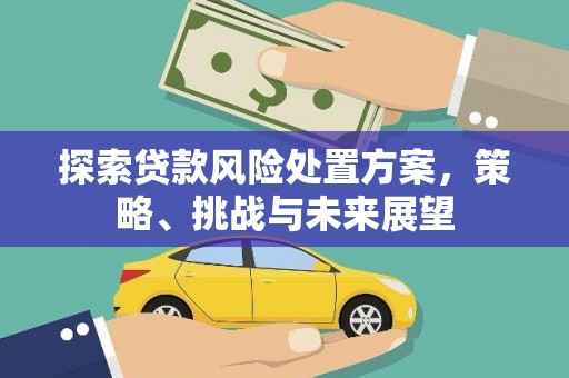 华龙探索贷款风险处置方案，策略、挑战与未来展望