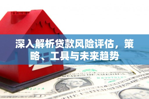 华龙深入解析贷款风险评估，策略、工具与未来趋势