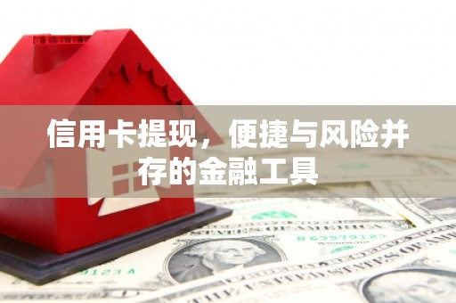华龙信用卡提现，便捷与风险并存的金融工具