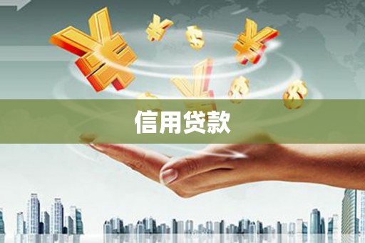华龙信用贷款