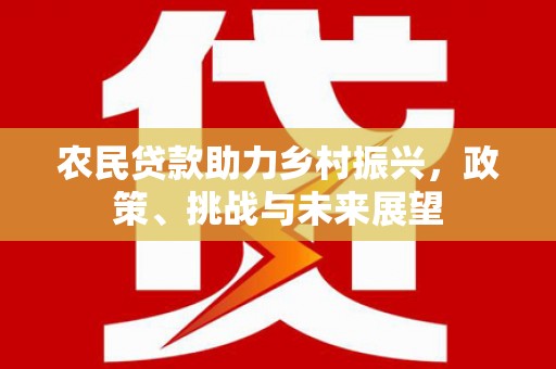 华龙农民贷款助力乡村振兴，政策、挑战与未来展望