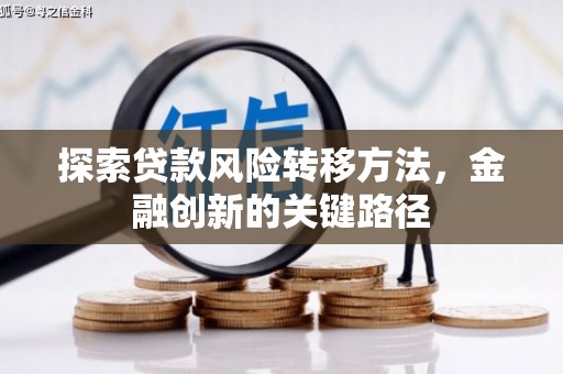 华龙探索贷款风险转移方法，金融创新的关键路径