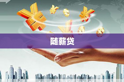 华龙随薪贷