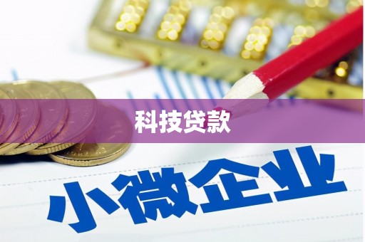 华龙科技贷款