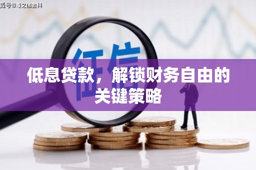 华龙低息贷款，解锁财务自由的关键策略