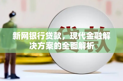 华龙新网银行贷款，现代金融解决方案的全面解析