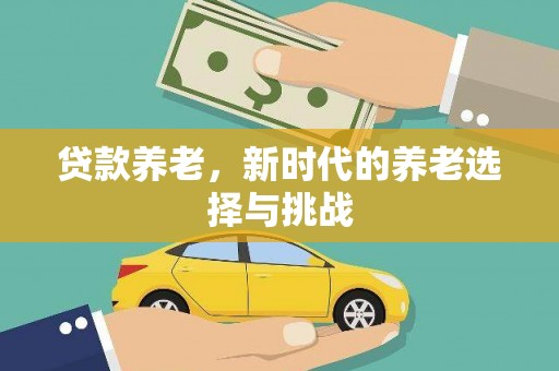 华龙贷款养老，新时代的养老选择与挑战