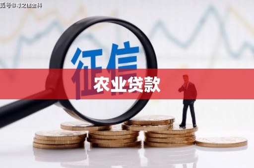 华龙农业贷款