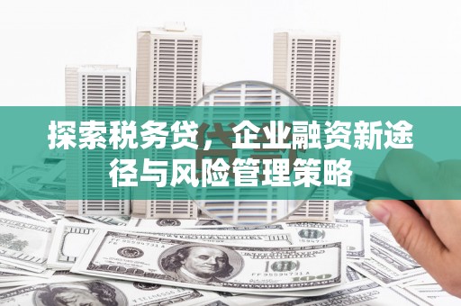 华龙探索税务贷，企业融资新途径与风险管理策略