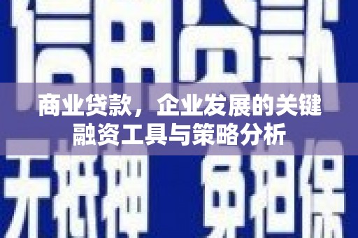 华龙商业贷款，企业发展的关键融资工具与策略分析