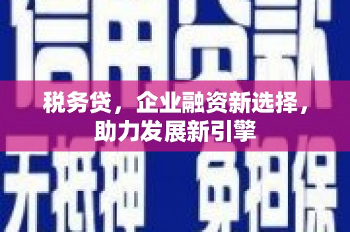 华龙税务贷，企业融资新选择，助力发展新引擎