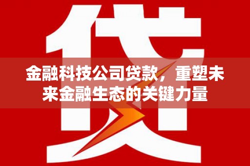 华龙金融科技公司贷款，重塑未来金融生态的关键力量
