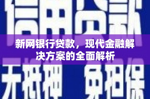 华龙新网银行贷款，现代金融解决方案的全面解析