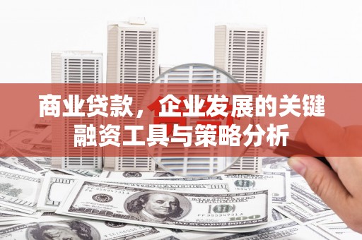 华龙商业贷款，企业发展的关键融资工具与策略分析