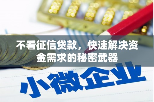 华龙不看征信贷款，快速解决资金需求的秘密武器