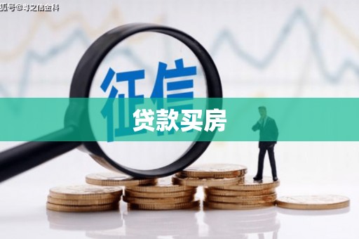 华龙贷款买房