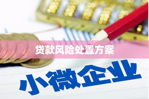 华龙贷款风险处置方案
