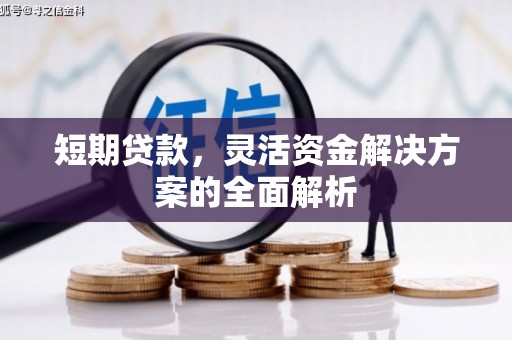 华龙短期贷款，灵活资金解决方案的全面解析