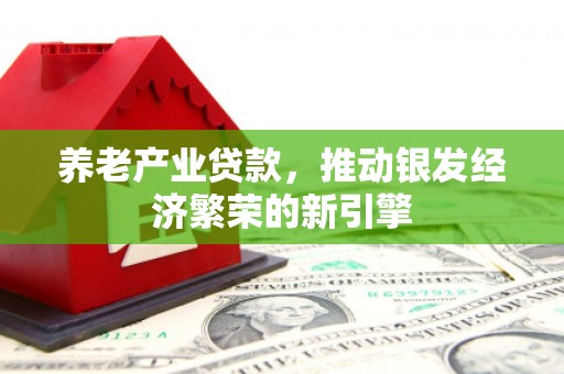 华龙养老产业贷款，推动银发经济繁荣的新引擎