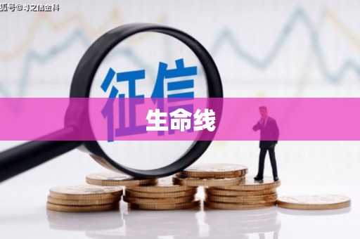华龙生命线