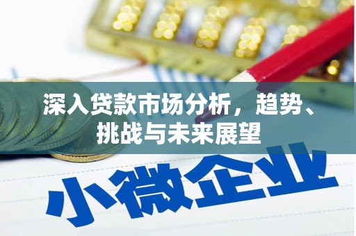 华龙深入贷款市场分析，趋势、挑战与未来展望