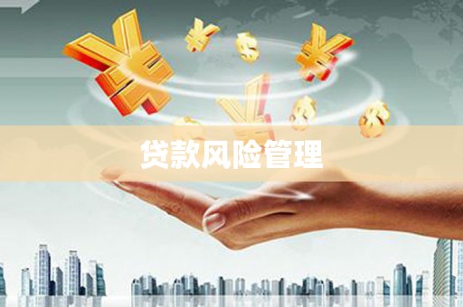 华龙贷款风险管理