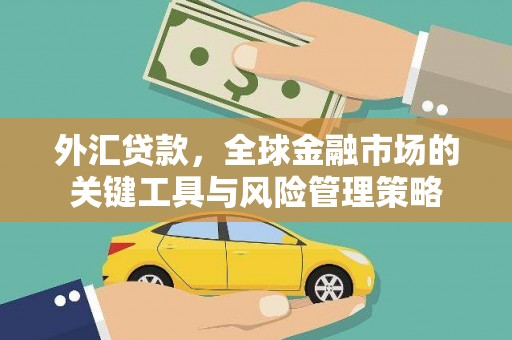 华龙外汇贷款，全球金融市场的关键工具与风险管理策略