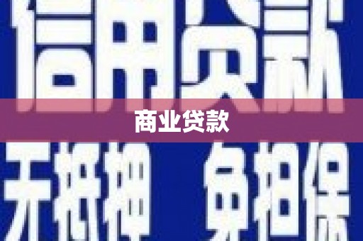 华龙商业贷款
