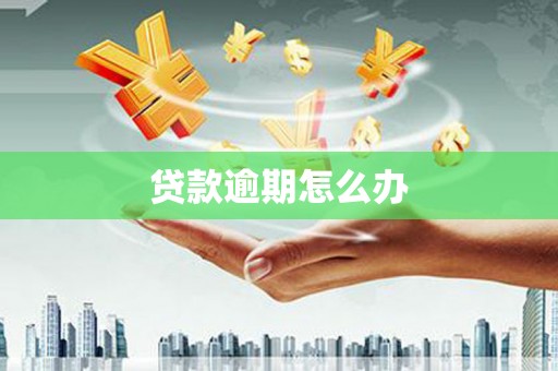 华龙贷款逾期怎么办