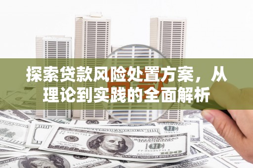 华龙探索贷款风险处置方案，从理论到实践的全面解析