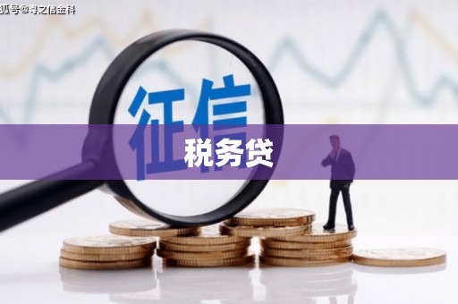 华龙税务贷