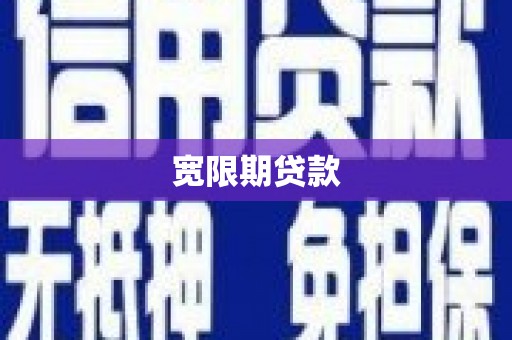华龙宽限期贷款