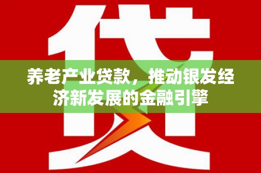 华龙养老产业贷款，推动银发经济新发展的金融引擎