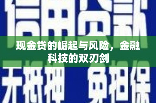 华龙现金贷的崛起与风险，金融科技的双刃剑