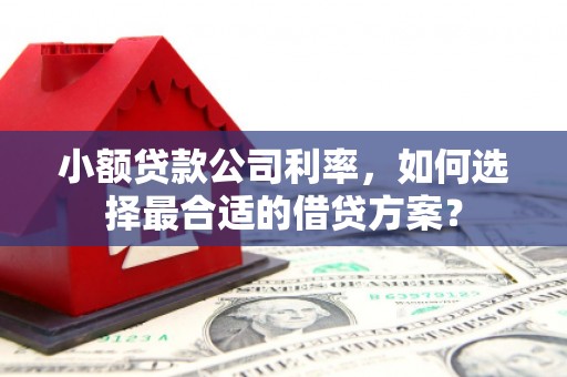 华龙小额贷款公司利率，如何选择最合适的借贷方案？