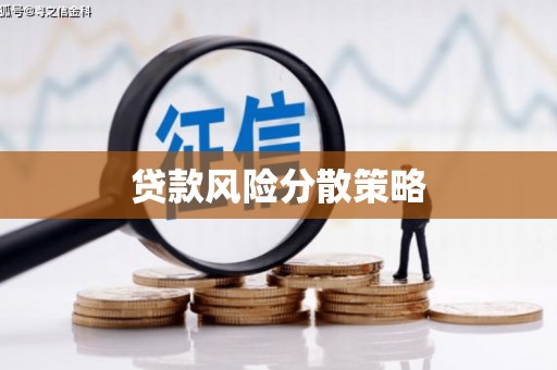 华龙贷款风险分散策略