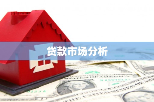 华龙贷款市场分析
