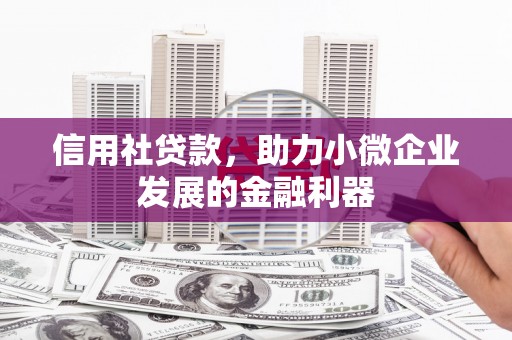 华龙信用社贷款，助力小微企业发展的金融利器