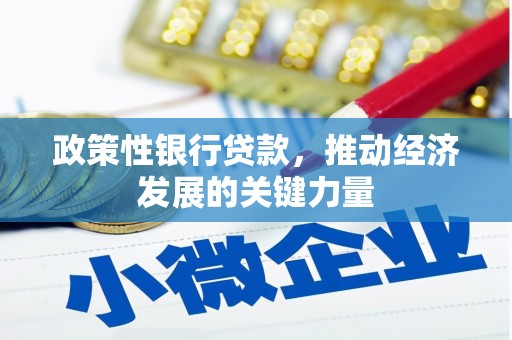 华龙政策性银行贷款，推动经济发展的关键力量