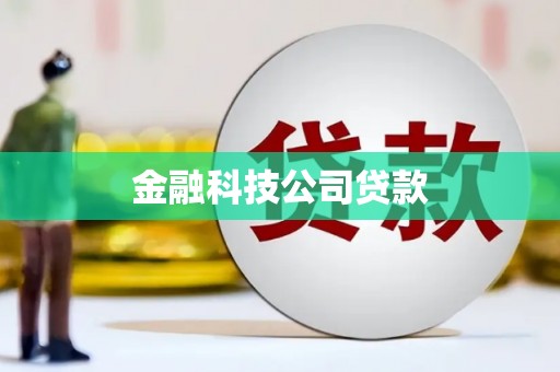 华龙金融科技公司贷款