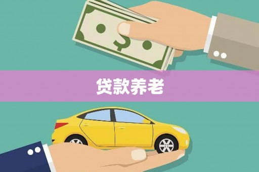 华龙贷款养老