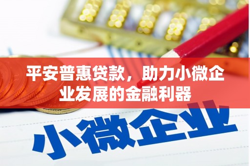华龙平安普惠贷款，助力小微企业发展的金融利器